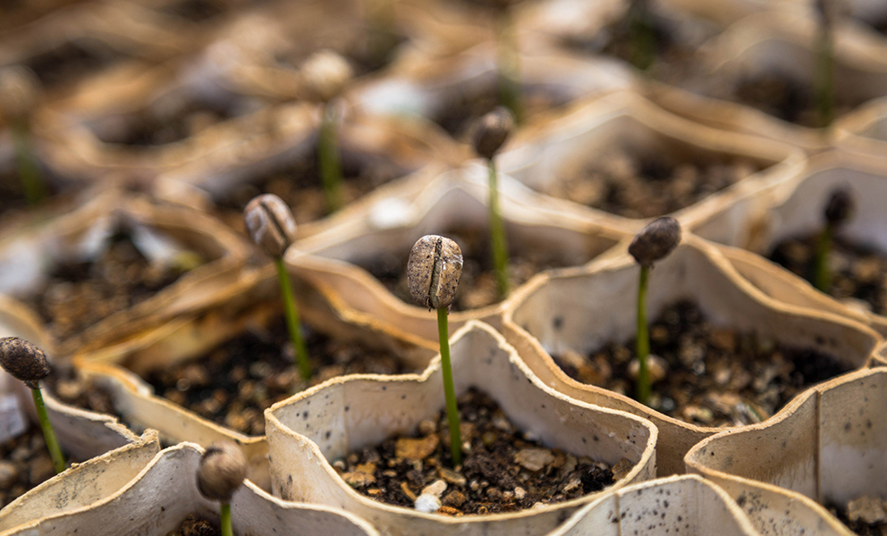 Consumer The Impact Your Farm